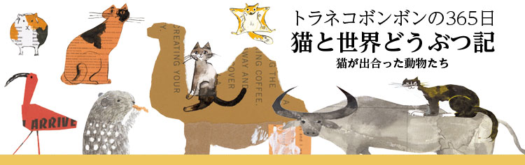 トラネコボンボンの365日 猫と世界どうぶつ記』特設サイト｜誠文堂新光社