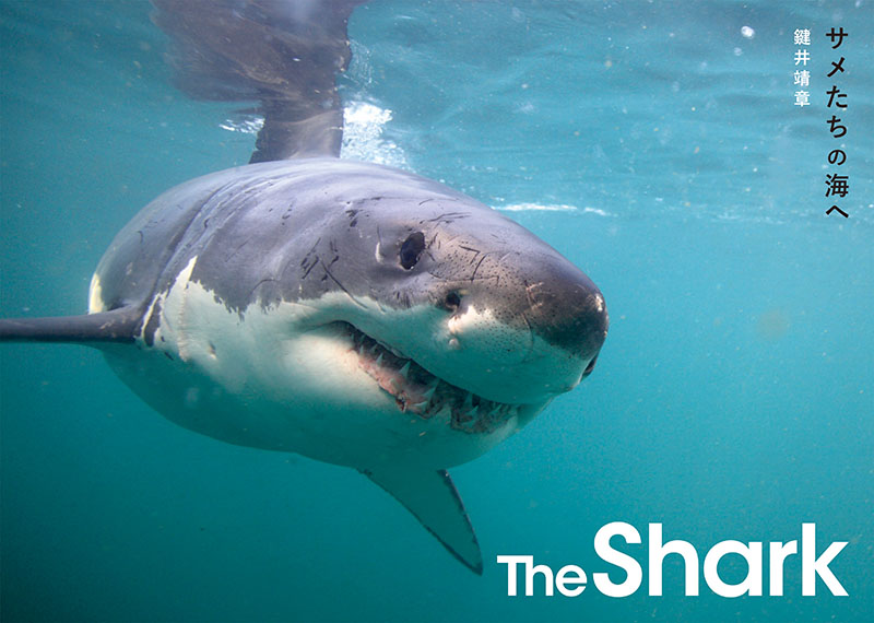 The Shark サメたちの海へ | 株式会社誠文堂新光社