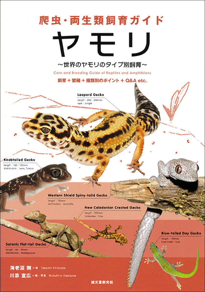 受賞店 繁殖用デュビアフード 300g 爬虫類 トカゲ ヤモリ カエル