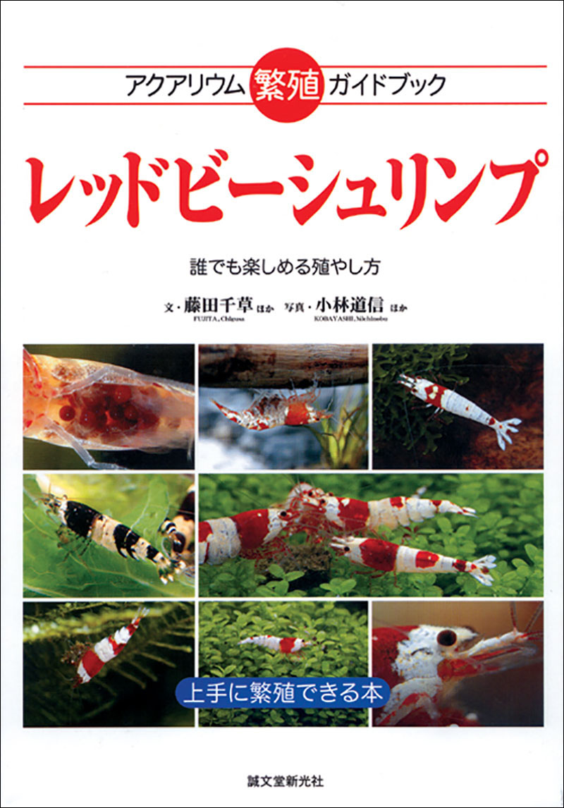 レッドビーシュリンプ | 株式会社誠文堂新光社