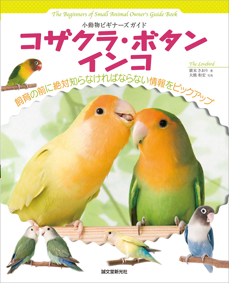 【中古】 インコやさしく飼う手引 セキセイインコ＆ボタン、コザクラｅｔｃ．/大泉書店/高木一嘉 コザクラ・ボタンインコ | 株式会社誠文堂新光社