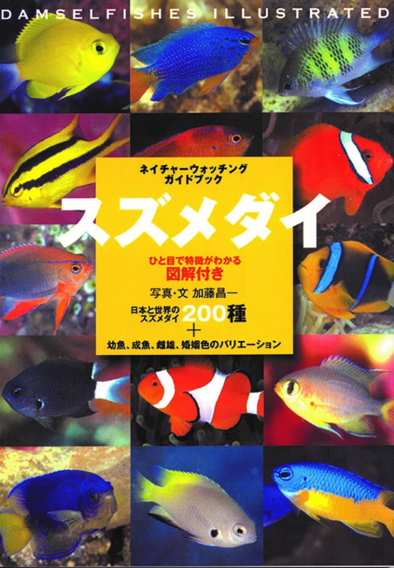 スズメダイ ひと目で特徴がわかる図解付き 株式会社誠文堂新光社