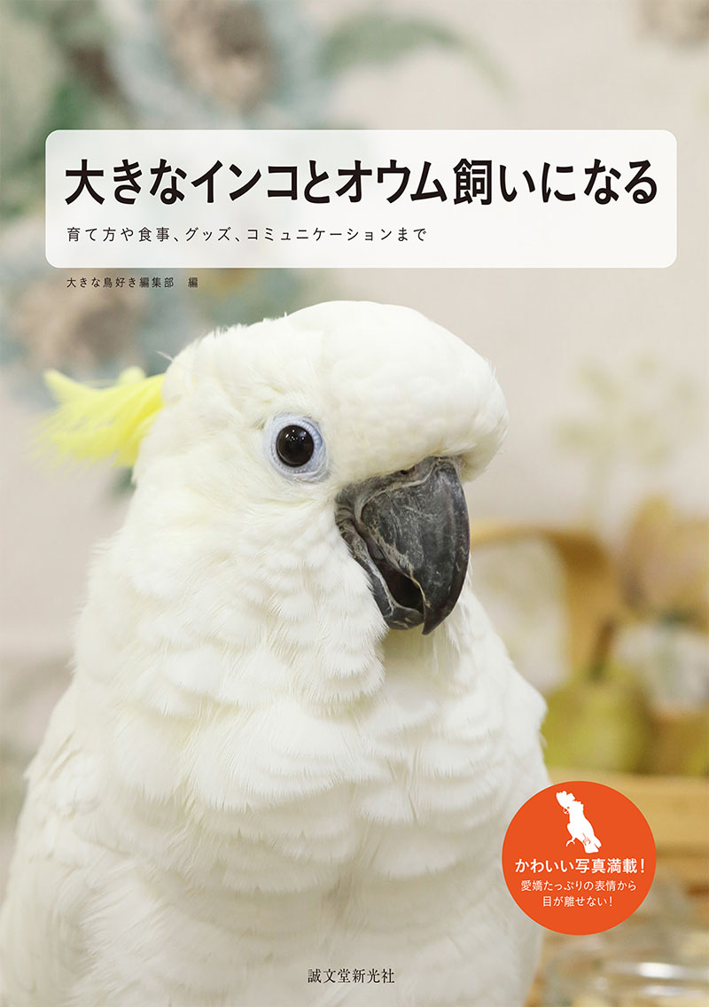 大きなインコとオウム飼いになる | 株式会社誠文堂新光社 大きなインコとオウム飼いになる | 株式会社誠文堂新光社