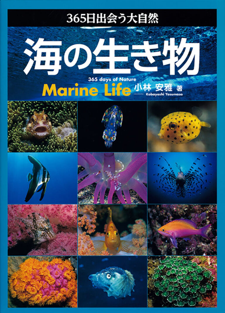 海の生き物 株式会社誠文堂新光社