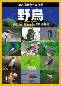 日本の野鳥識別図鑑 株式会社誠文堂新光社