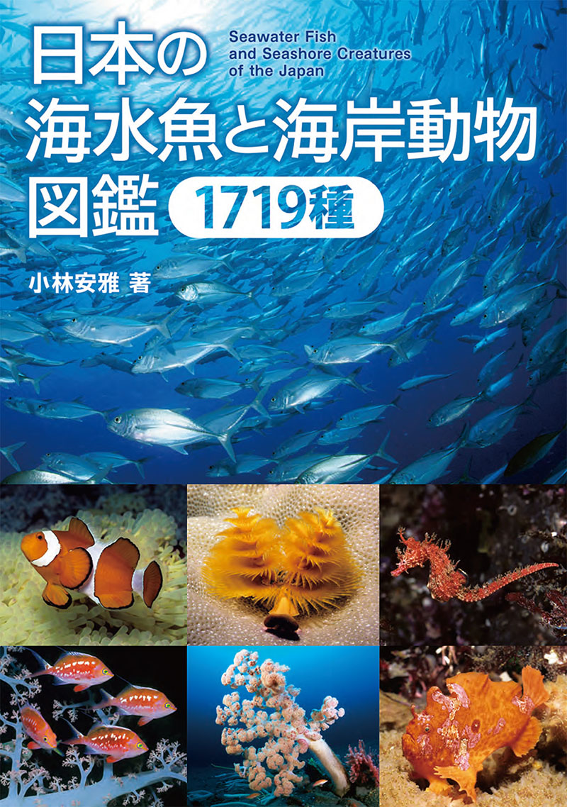 日本の海水魚と海岸動物図鑑 1719種 株式会社誠文堂新光社
