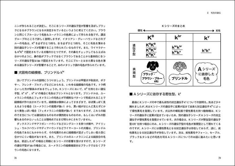 ◆希少【美品・匿名配送】よくわかる犬の遺伝学　尾形聡子