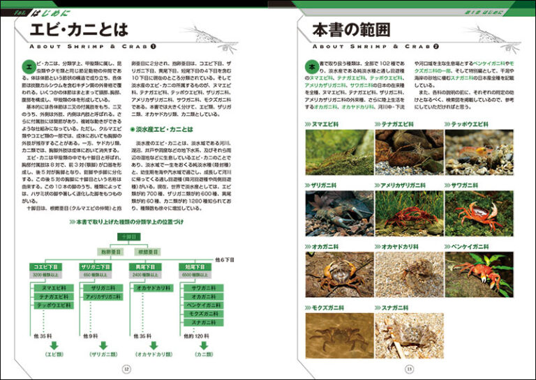 日本の淡水性エビ カニ 株式会社誠文堂新光社