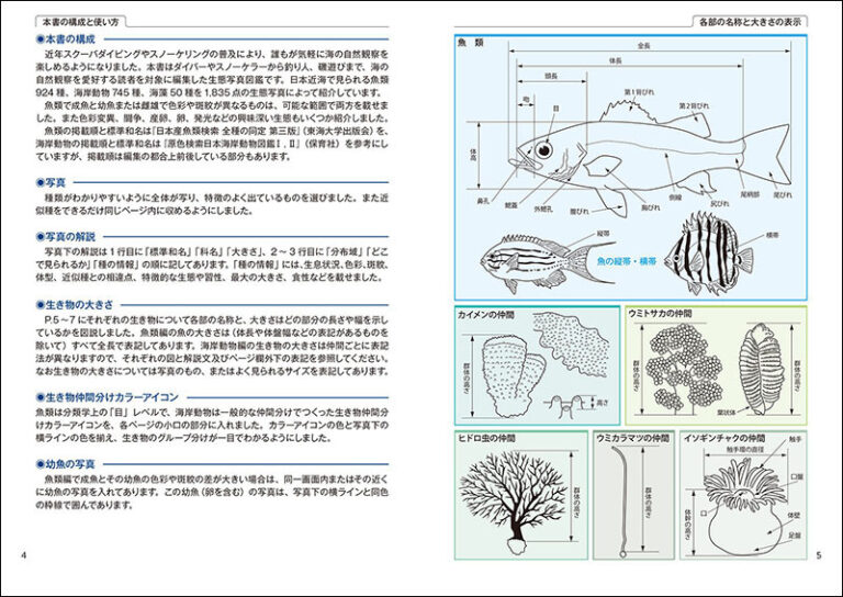 日本の海水魚と海岸動物図鑑 1719種 株式会社誠文堂新光社