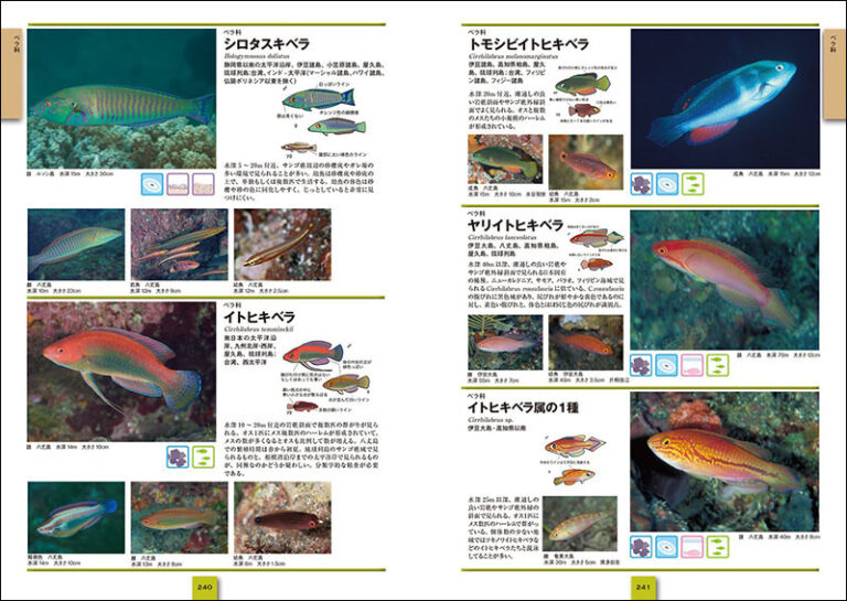 改訂新版 海水魚 ひと目で特徴がわかる図解付き 株式会社誠文堂新光社