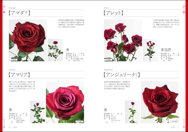 切り花 バラ図鑑1000 上巻 株式会社誠文堂新光社
