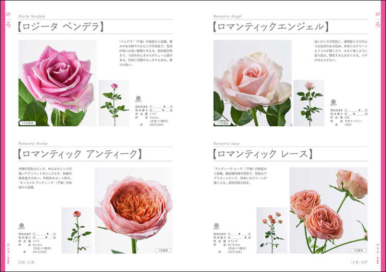 切り花 バラ図鑑1000 上巻 株式会社誠文堂新光社