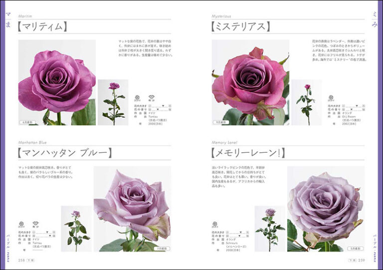 切り花 バラ図鑑1000 下巻 株式会社誠文堂新光社