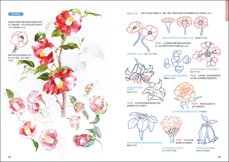 日本画 花を描く 株式会社誠文堂新光社