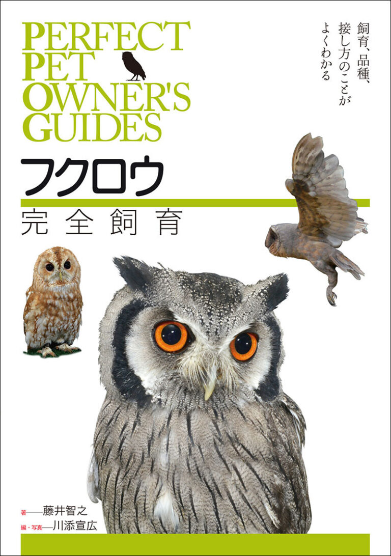 フクロウ完全飼育 株式会社誠文堂新光社