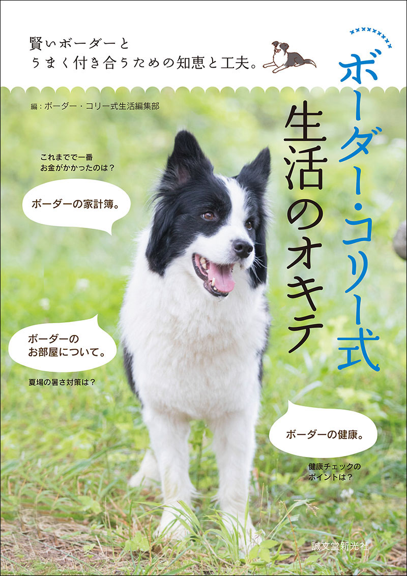 木彫動物⑅犬(ボーダーコリー)⑅インドネシア 【公式通販】