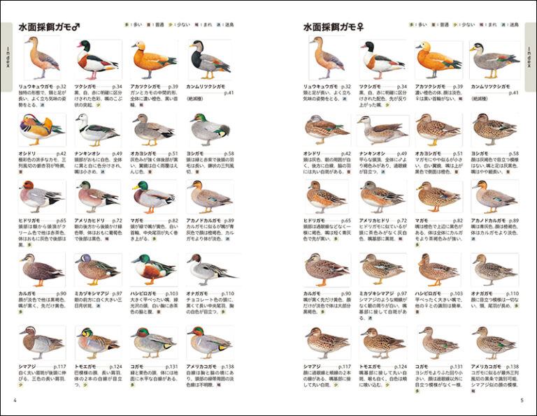 決定版 日本のカモ識別図鑑 株式会社誠文堂新光社