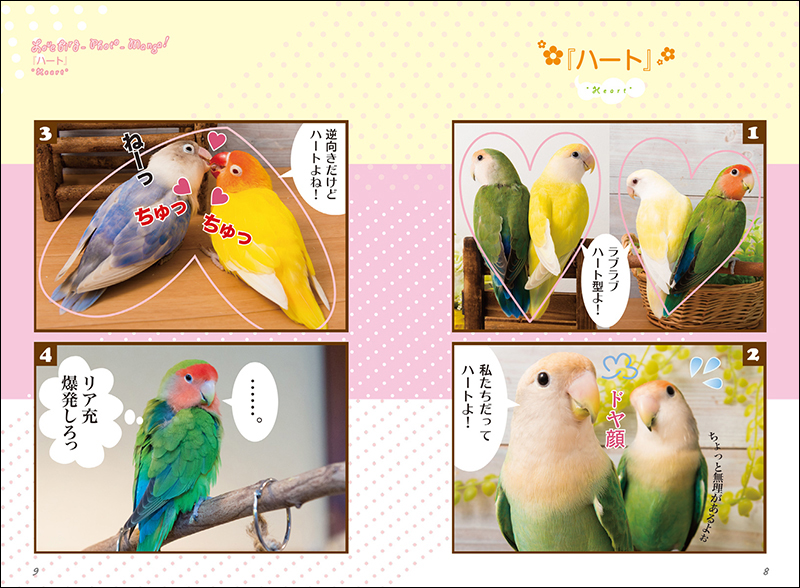 だからやめられない コザクラ ボタンインコ生活 株式会社誠文堂新光社 だからやめられない コザクラ ボタンインコ生活 株式会社誠文堂新光社