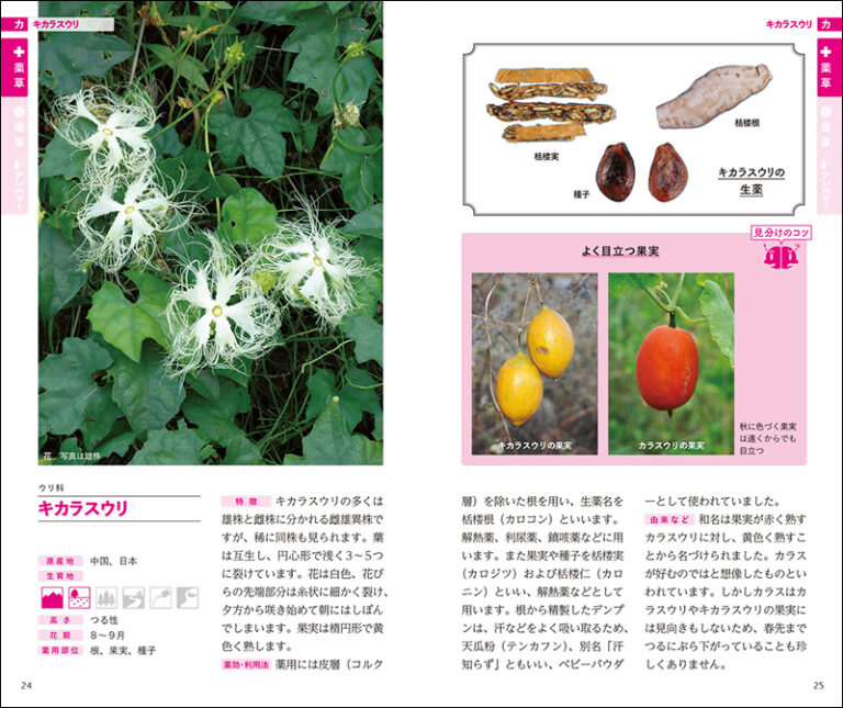 薬草 毒草を見分ける図鑑 株式会社誠文堂新光社