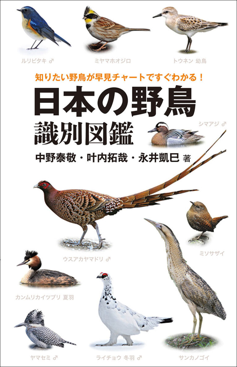 日本の野鳥識別図鑑 | 株式会社誠文堂新光社