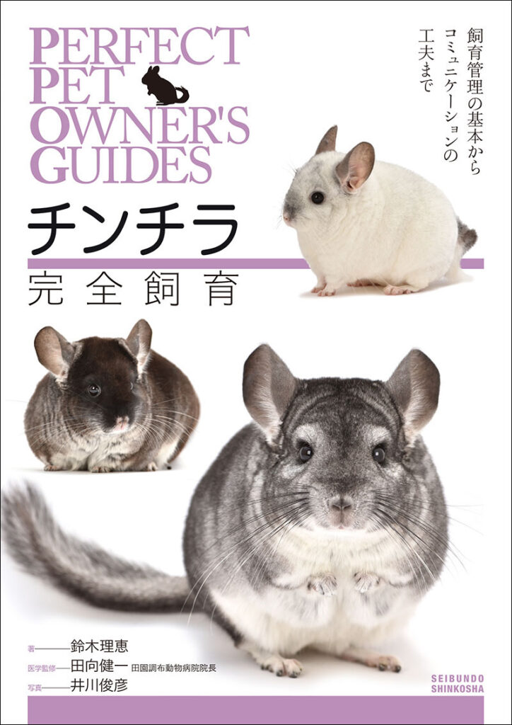 チンチラの飼い方ガイド