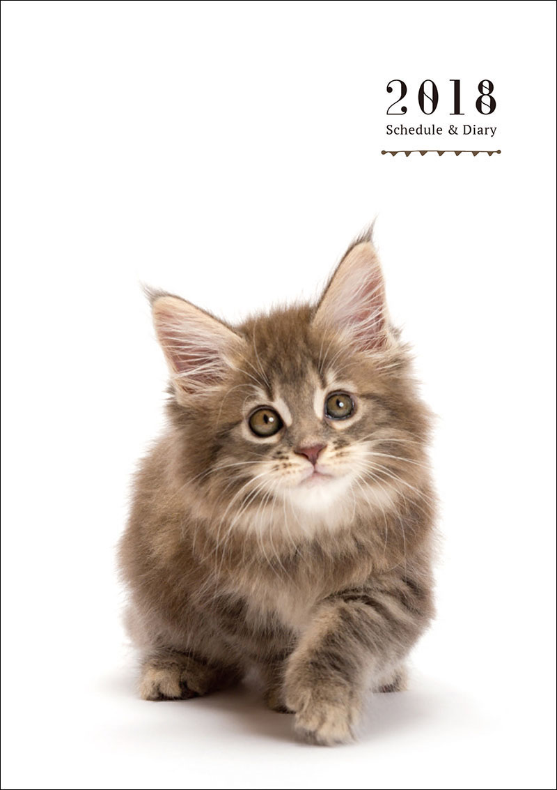 猫のこよみ 2018 | 株式会社誠文堂新光社