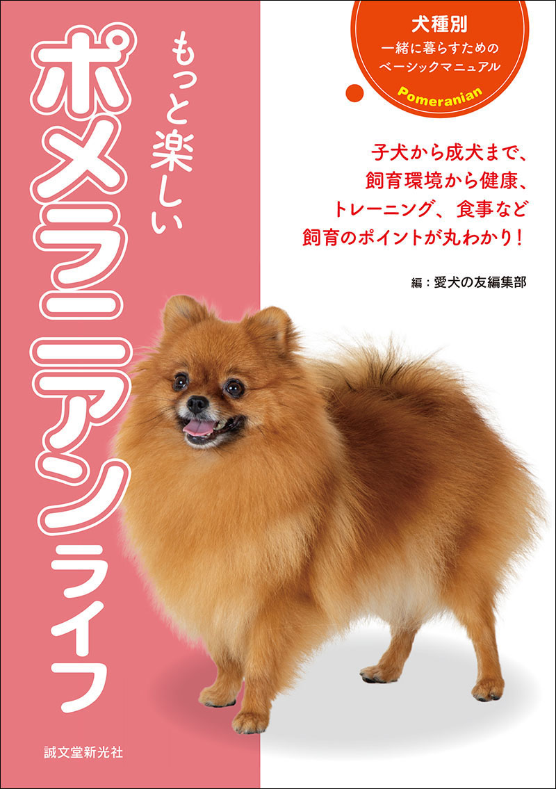 天使は歩いてやってくる | 犬飼 ターボ |本 | 通販 | Amazon