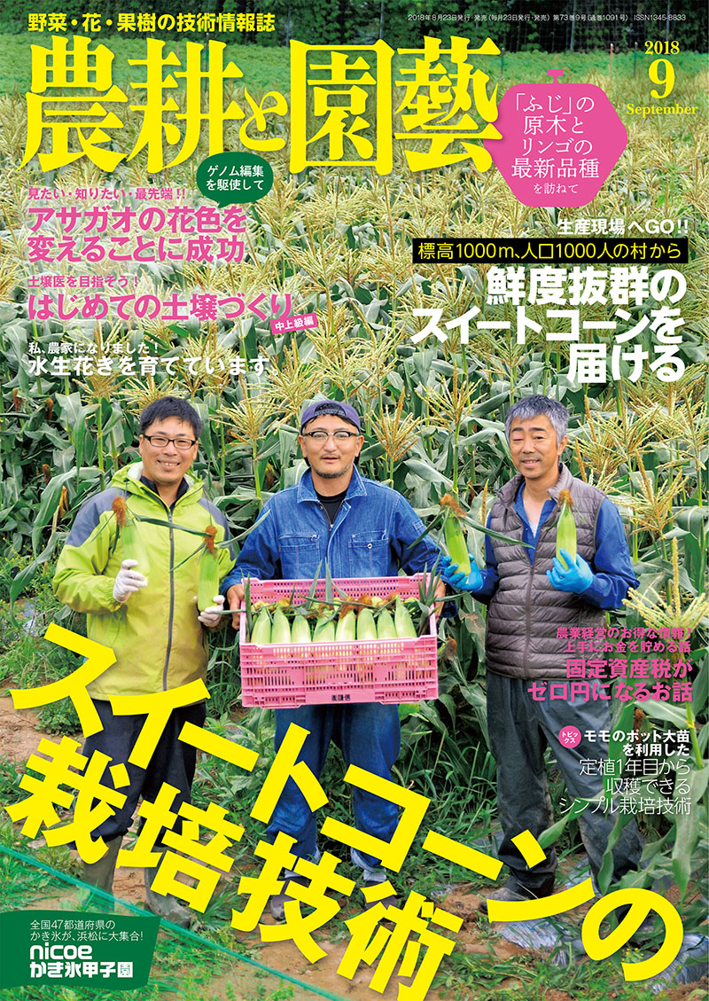 実践 野菜栽培 葉菜・茎菜・豆類 | 株式会社誠文堂新光社