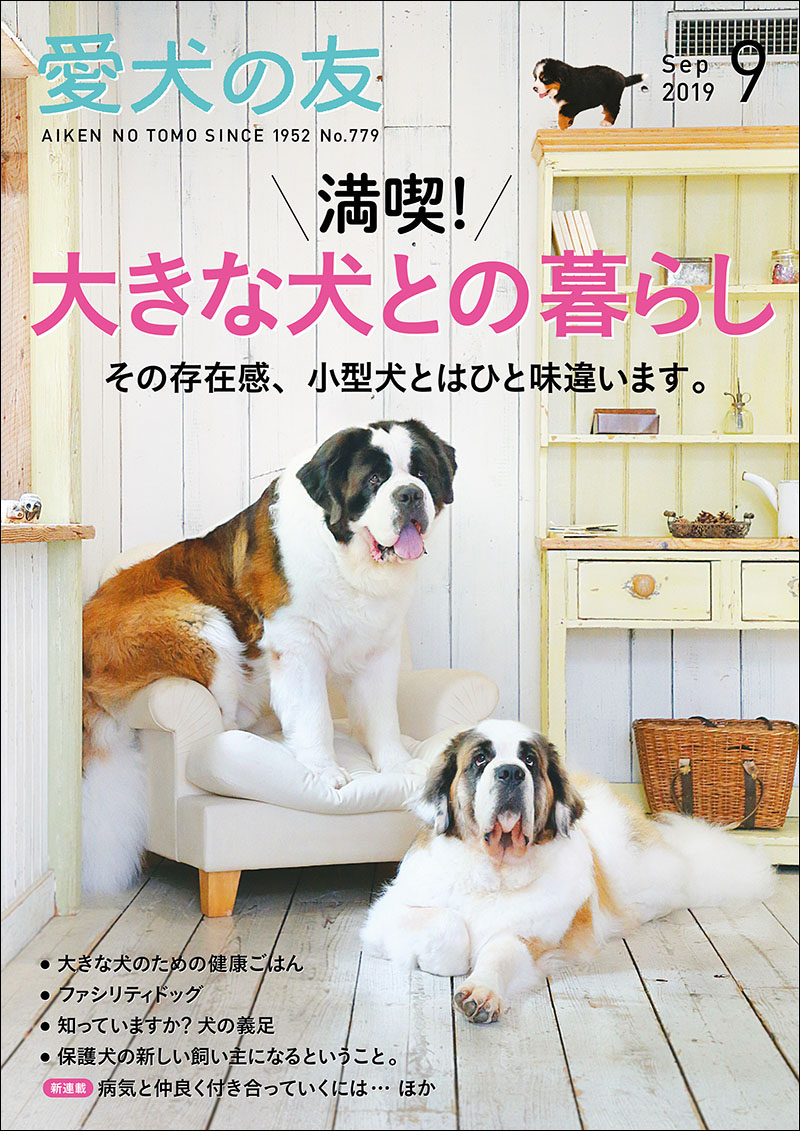 日本犬名犬写真集　愛犬の友編集部編　昭和六二年　発行 日本犬 : 名犬写真集(愛犬の友編集部 編) / 古本、中古本、古