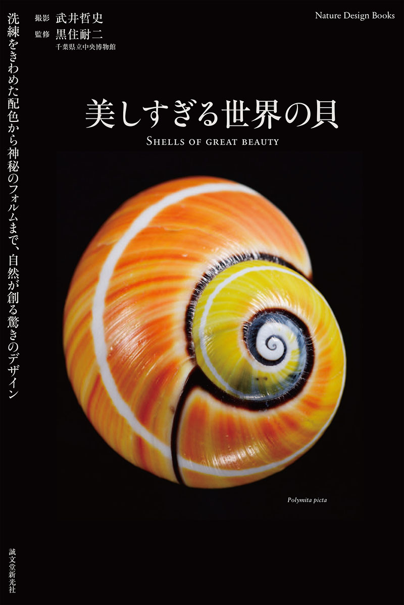 美しすぎる世界の貝 | 株式会社誠文堂新光社