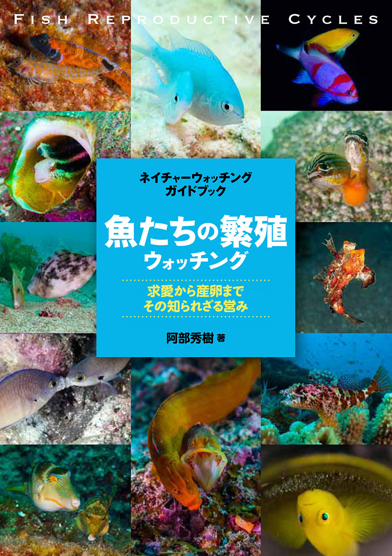 魚たちの繁殖ウォッチング 株式会社誠文堂新光社 魚たちの繁殖ウォッチング 株式会社誠文堂新光社