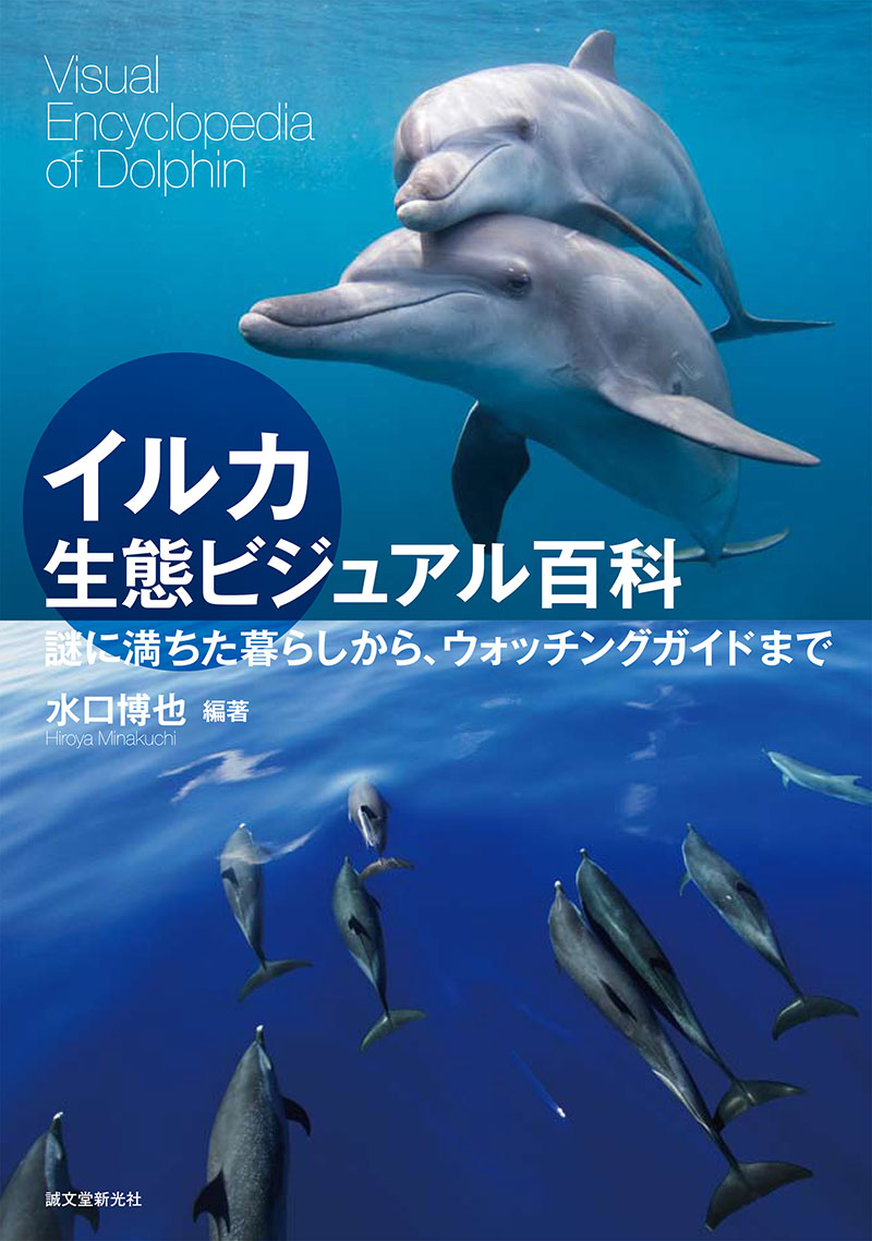 イルカ生態ビジュアル百科 株式会社誠文堂新光社 イルカ生態ビジュアル百科 株式会社誠文堂新光社
