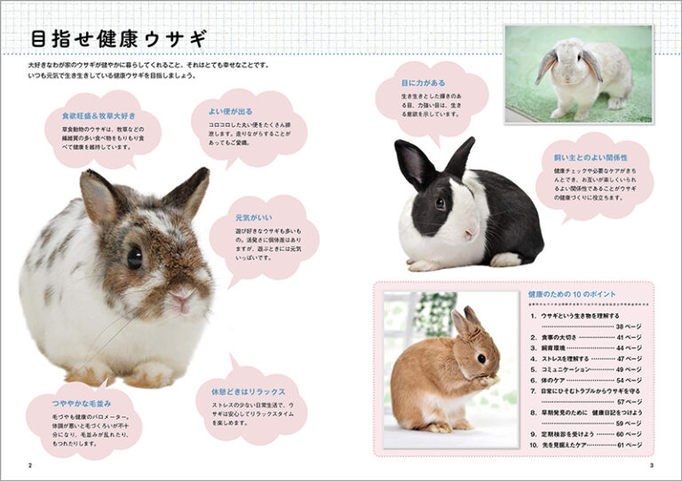 新版 よくわかるウサギの健康と病気 株式会社誠文堂新光社