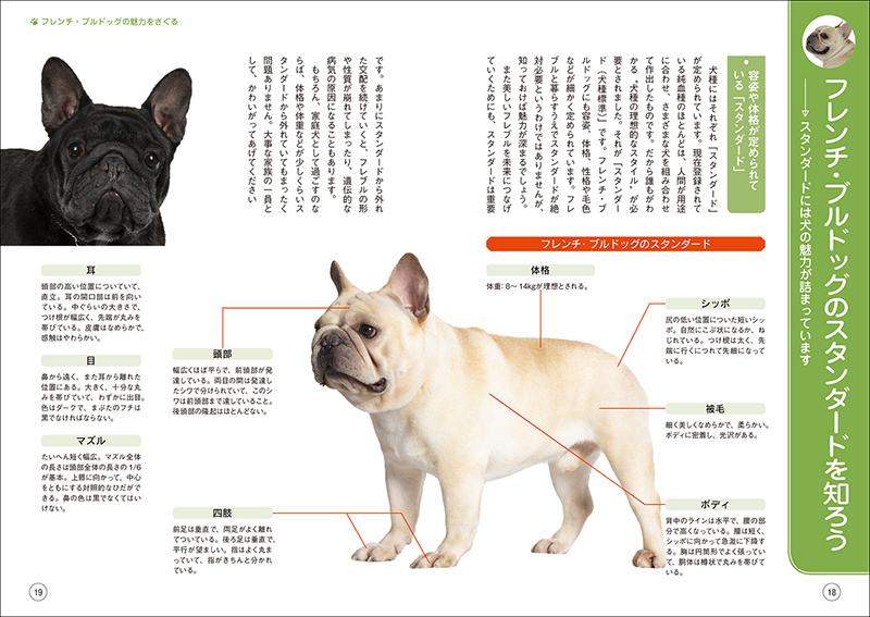 犬 服 フレンチブルドッグ パグ 春 秋 冬 フレンチブルドック服 フレブル 犬の洋服 ドッグウェア 起毛生地 可愛い ボタン ワンピース オーバーオール ブラック ピンク 小型犬 中型犬 大型犬 KM972SK