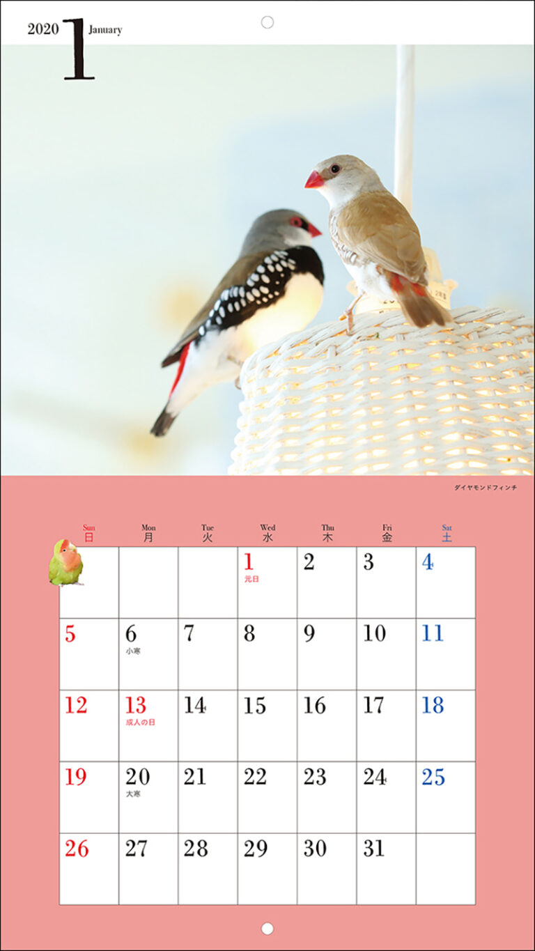 年 ミニ判カレンダー かわいい小鳥のカレンダー 株式会社誠文堂新光社