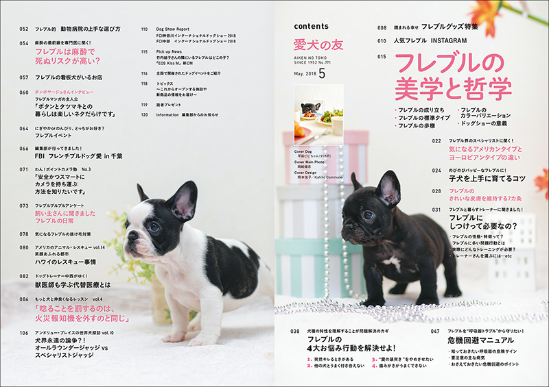 愛犬の友 18年5月号 株式会社誠文堂新光社 愛犬の友 18年5月号 株式会社誠文堂新光社