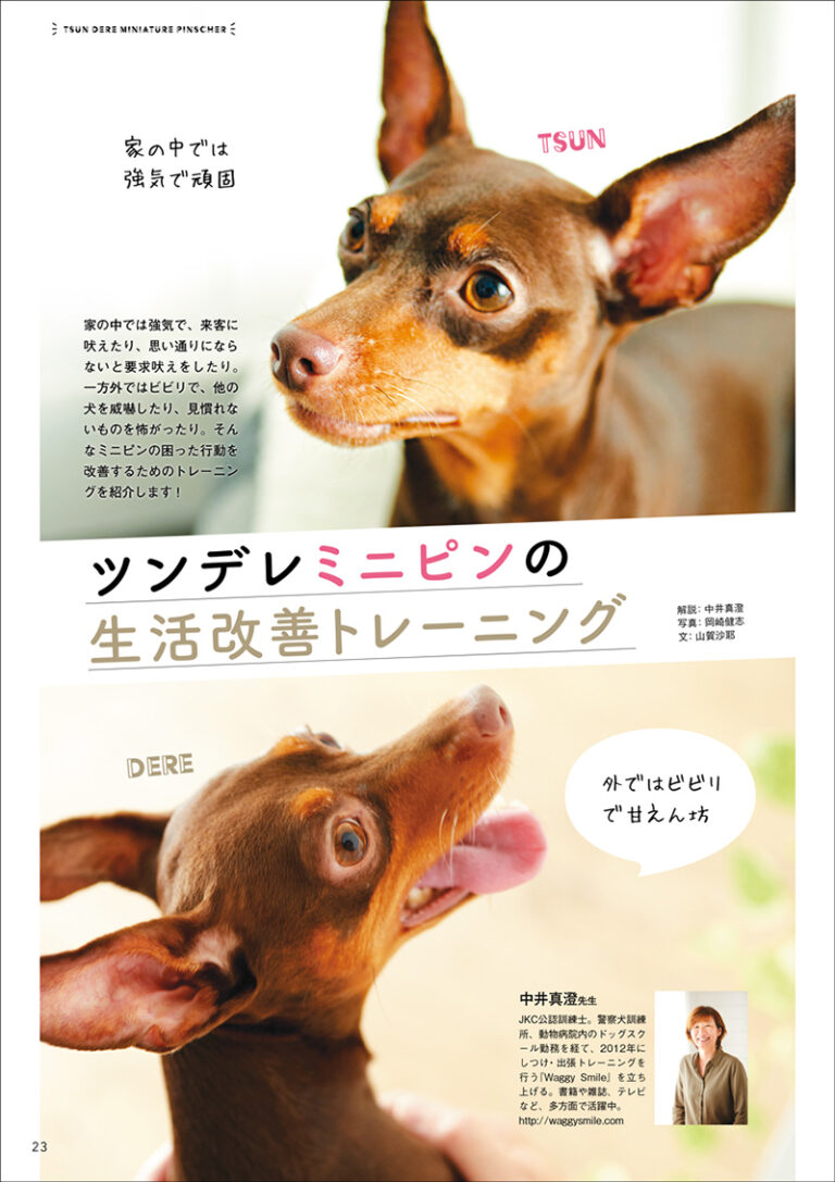 愛犬の友 18年11月号 株式会社誠文堂新光社