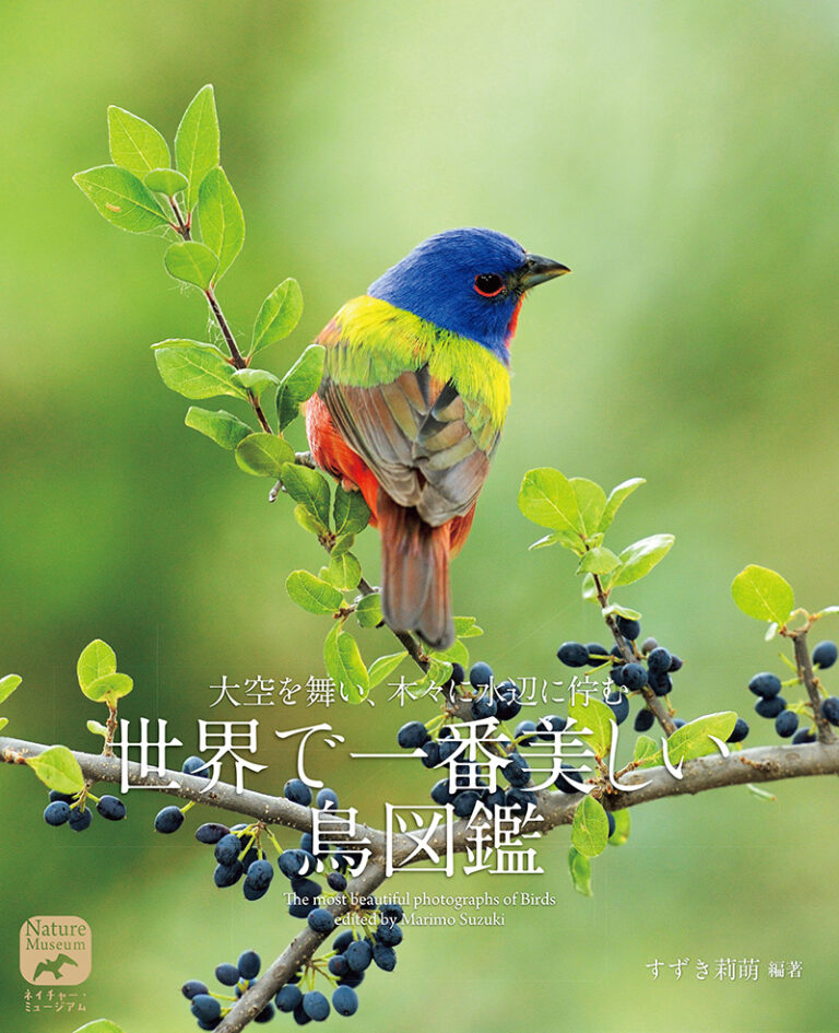 世界で一番美しい鳥図鑑 株式会社誠文堂新光社