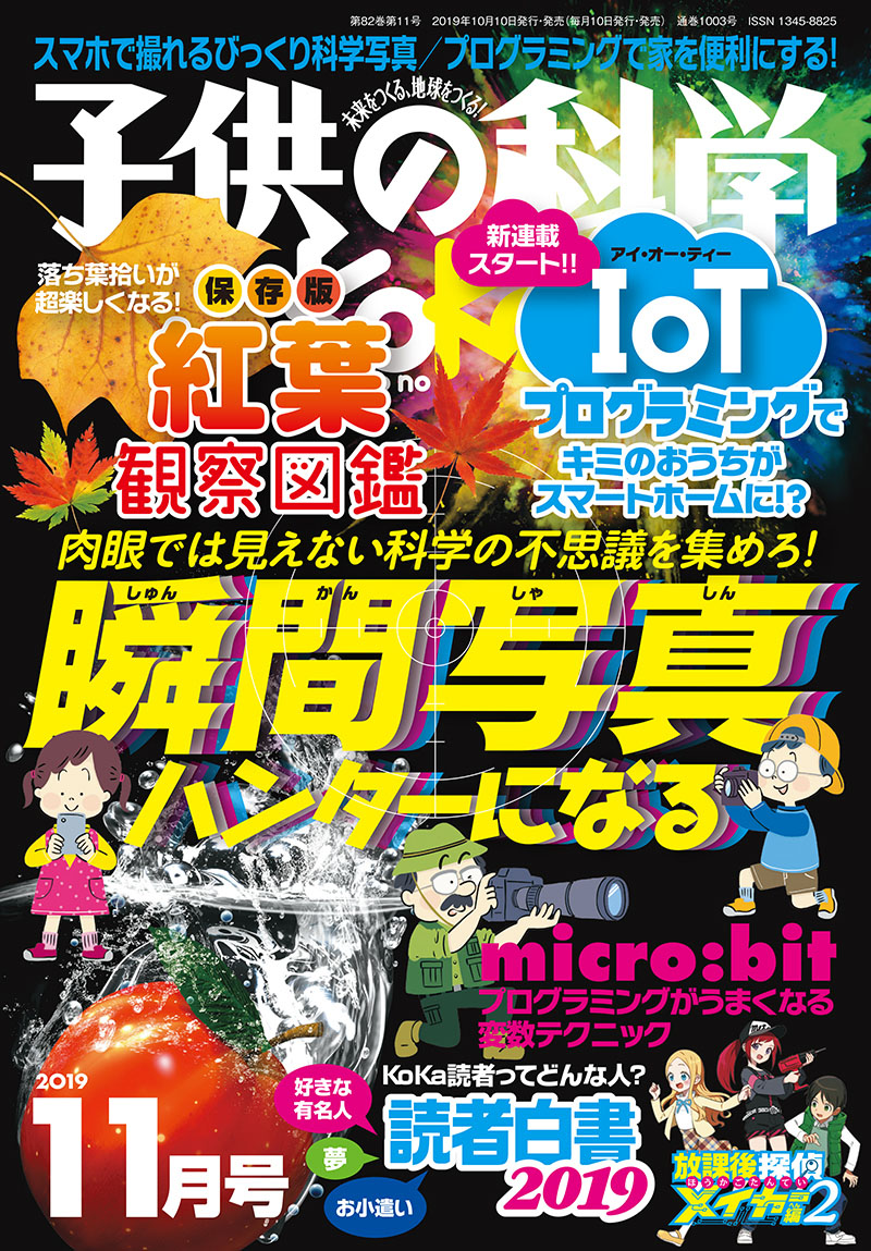 子供の科学 11巻セット 子供の科学 11巻セット 子供の科学 2024