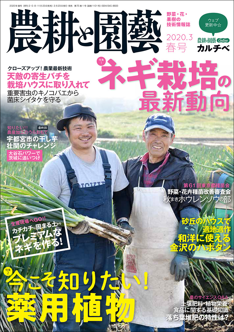【希少！】食 (食文化シリーズ 1)／大谷 光端(著) Amazon.co.jp: 食 (食文化シリーズ 1) : 大谷 光瑞, 薄井 恭一: 本