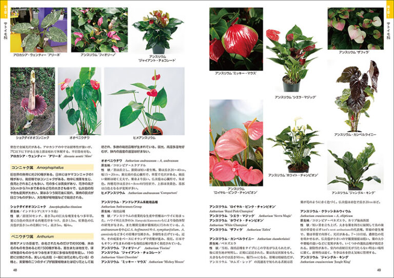 熱帯植物図鑑 株式会社誠文堂新光社