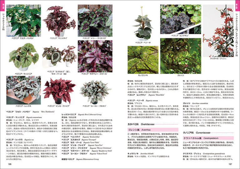 熱帯植物図鑑 株式会社誠文堂新光社