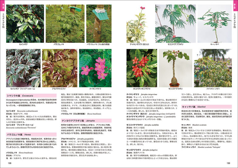 熱帯植物図鑑 株式会社誠文堂新光社