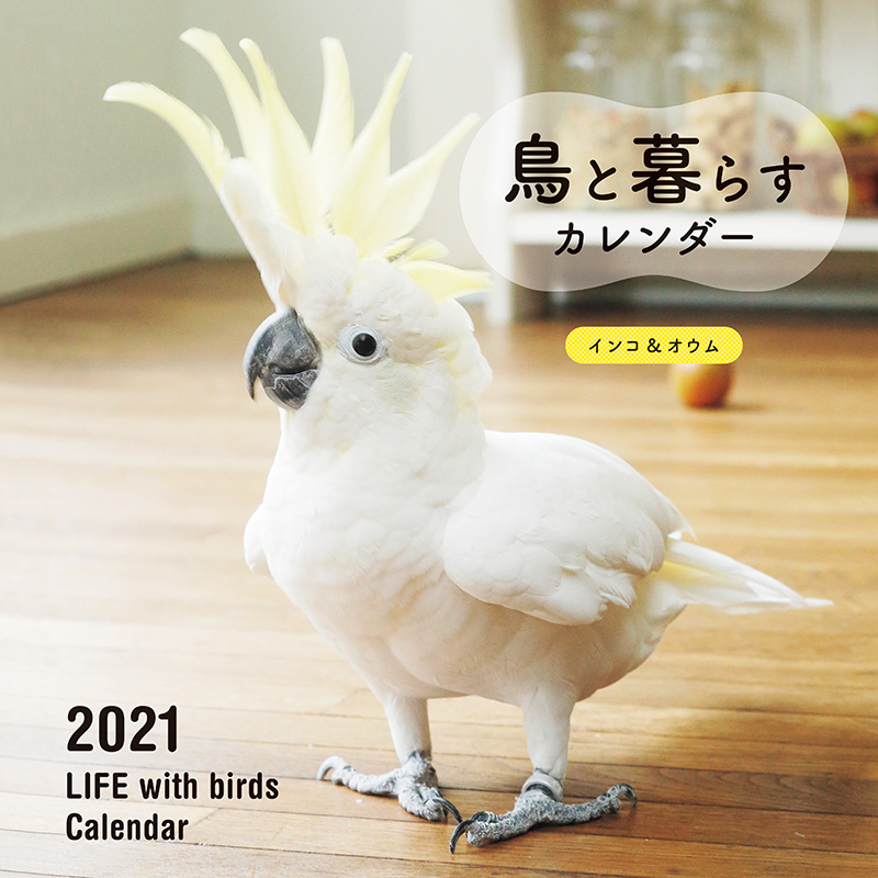 21年 大判カレンダー 鳥と暮らすカレンダー インコ オウム 株式会社誠文堂新光社