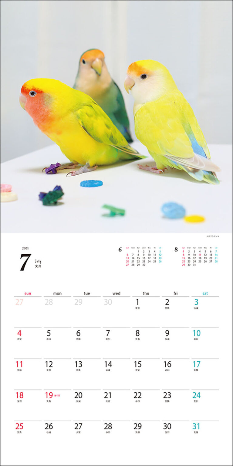 2021年 大判カレンダー 鳥と暮らすカレンダー インコ＆オウム | 株式
