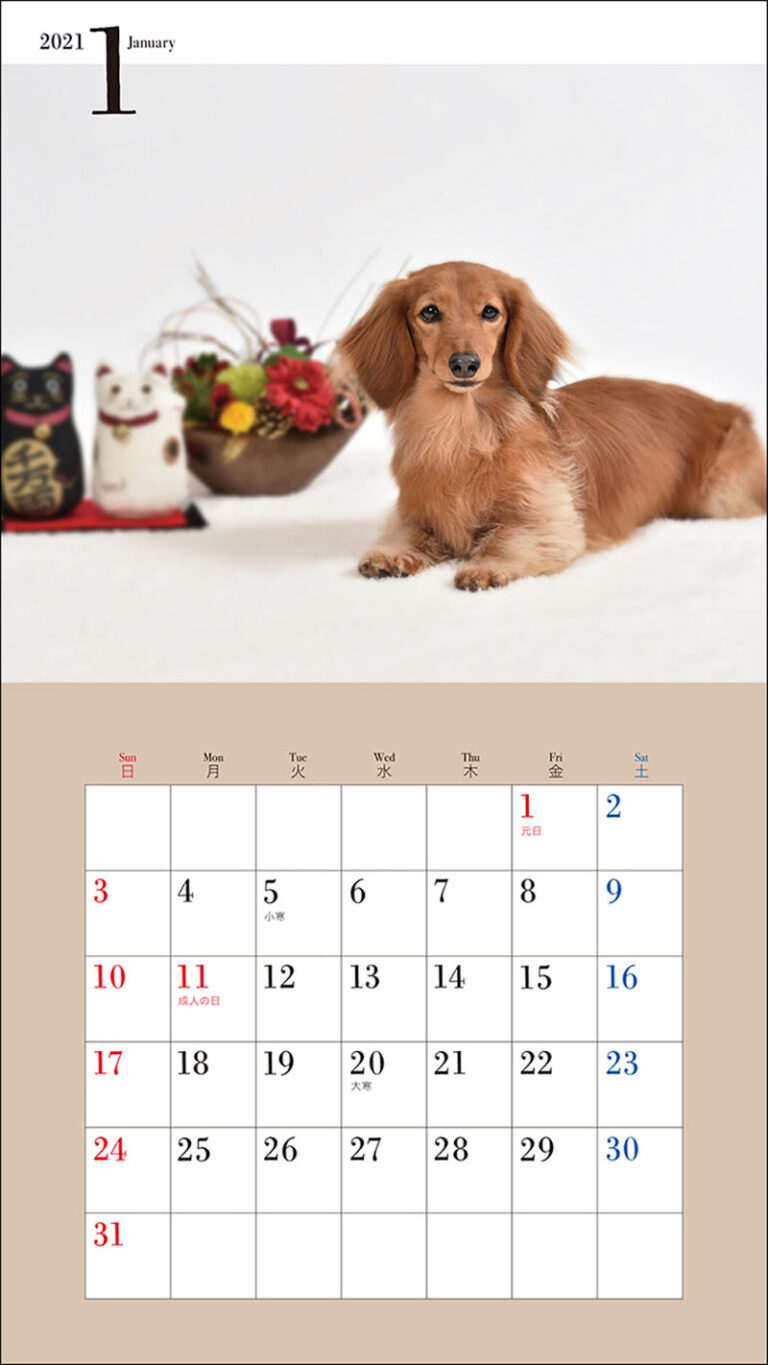 21年 ミニ判カレンダー かわいいミニチュア ダックスフンドのカレンダー 株式会社誠文堂新光社