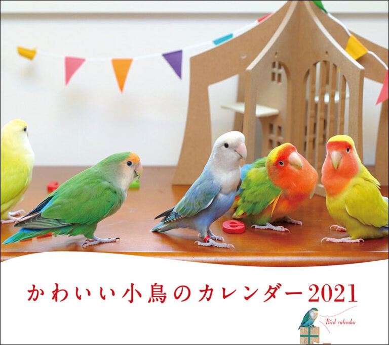 21年 ミニ判カレンダー かわいい小鳥のカレンダー 株式会社誠文堂新光社