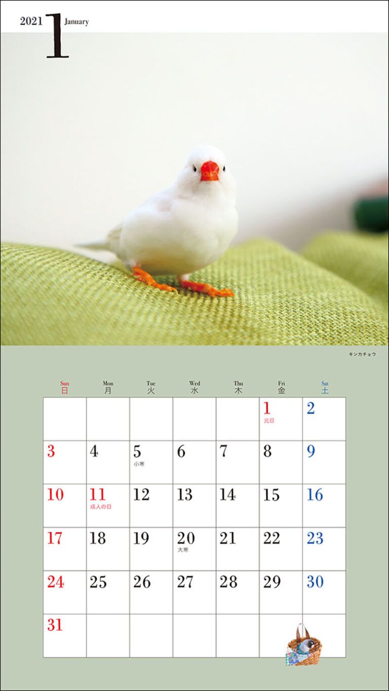 21年 ミニ判カレンダー かわいい小鳥のカレンダー 株式会社誠文堂新光社