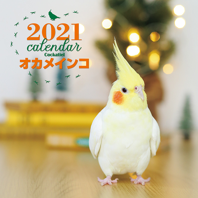 21年 大判カレンダー オカメインコ 株式会社誠文堂新光社 21年 大判カレンダー オカメインコ 株式会社誠文堂新光社