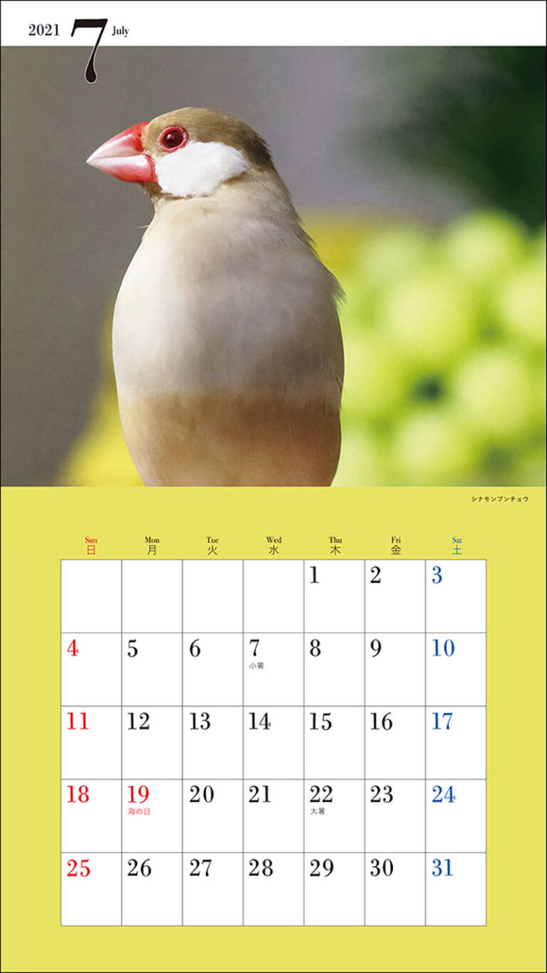 21年 ミニ判カレンダー かわいい文鳥のカレンダー 株式会社誠文堂新光社
